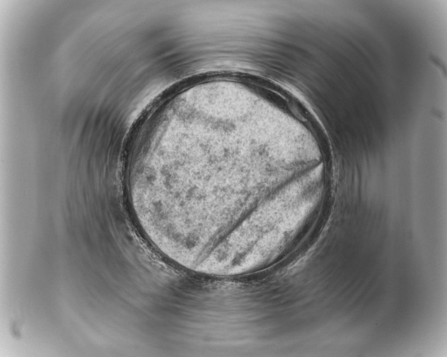 X0000101650783200807311412