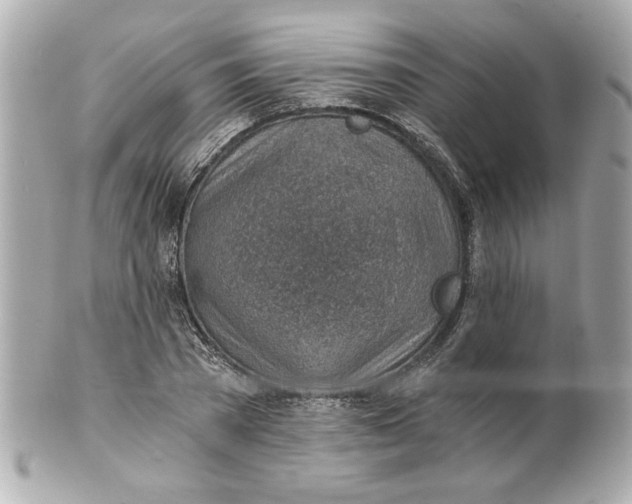 X0000101650785200807311412