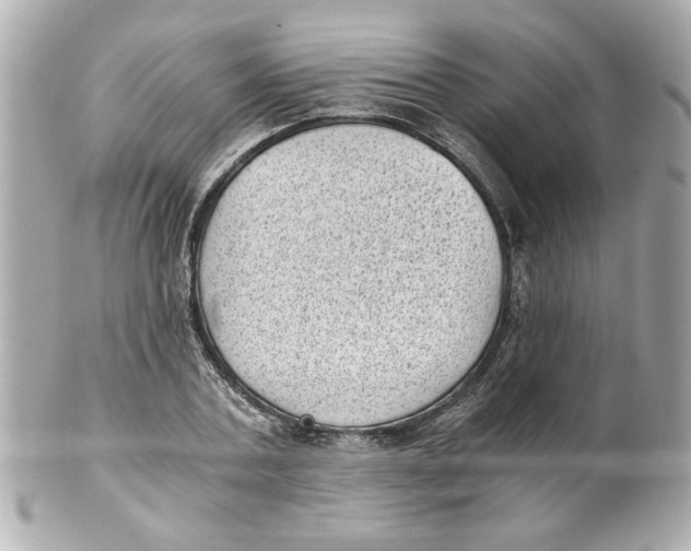X0000101650787200807311412