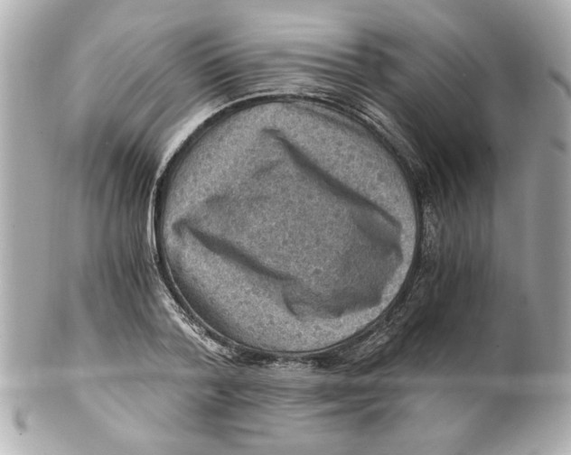 X0000101650788200807311412