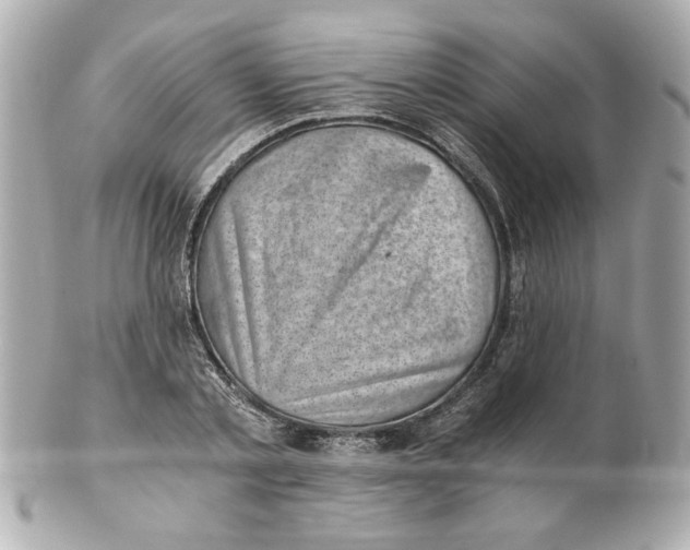 X0000101650789200807311412