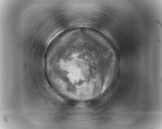 X0000101650790200807311412