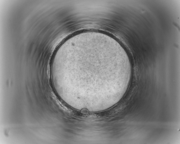 X0000101650791200807311412