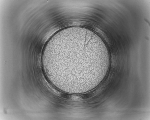 X0000101650794200807311412