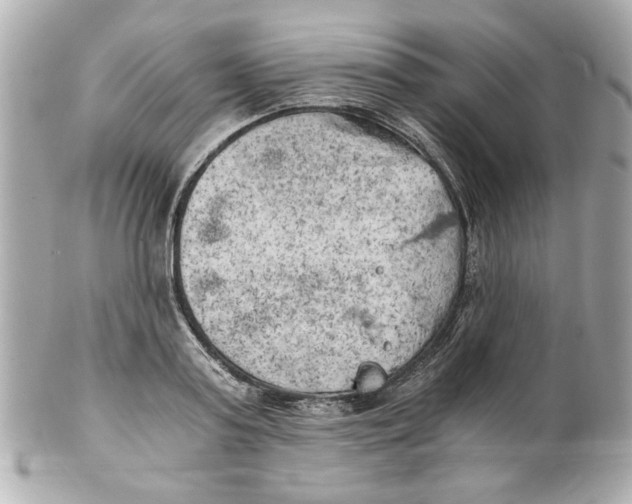 X0000101650795200807311412