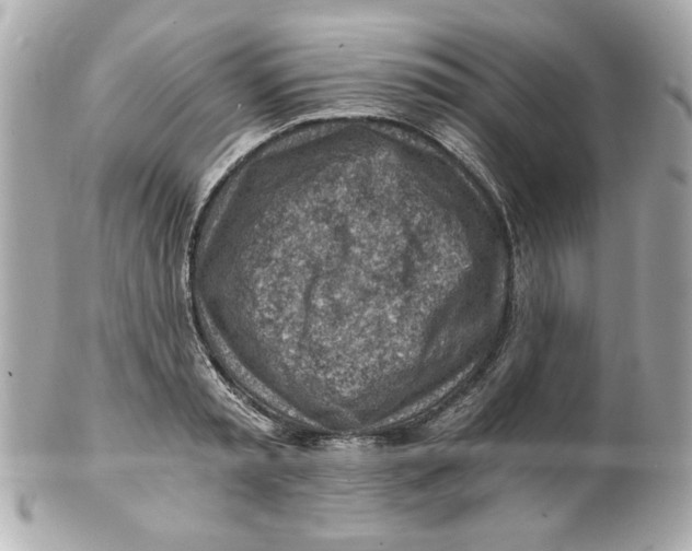 X0000101650797200807311412