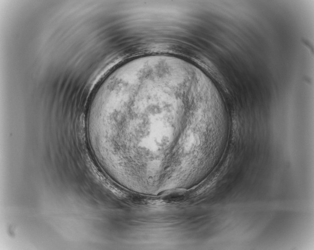 X0000101650798200807311412