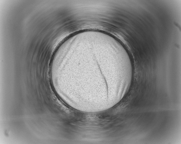 X0000101650799200807311412