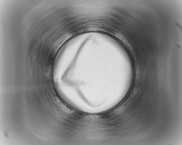X0000101650801200807311412