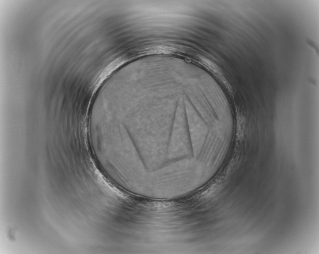 X0000101650802200807311412