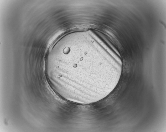 X0000101650804200807311412