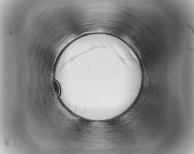X0000101650805200807311412