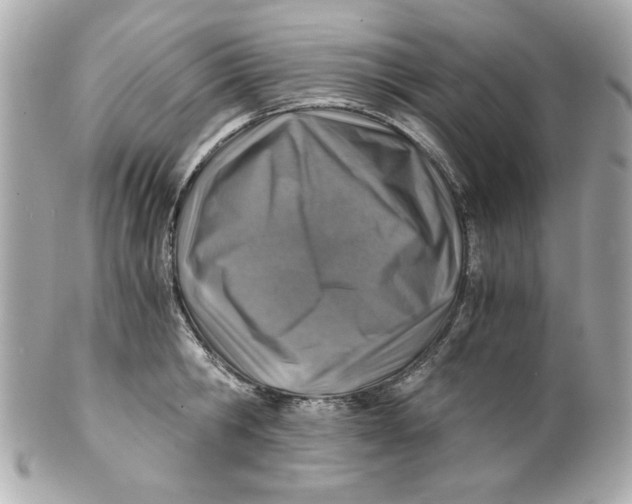 X0000101650806200807311412