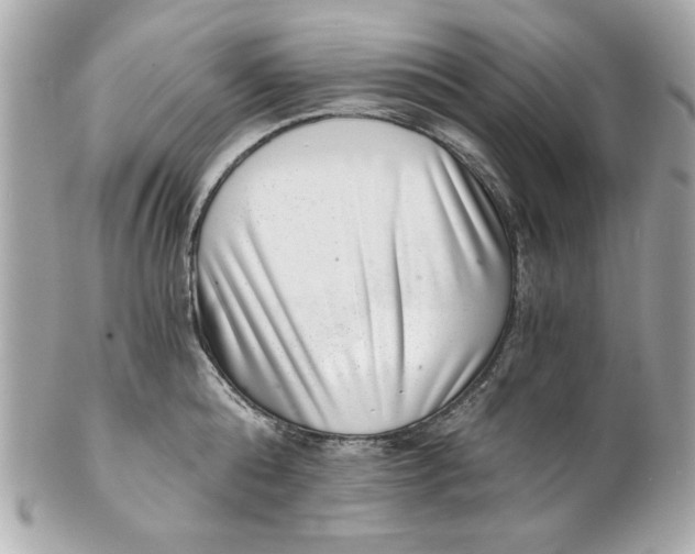 X0000101650808200807311412
