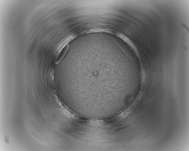 X0000101650809200807311412
