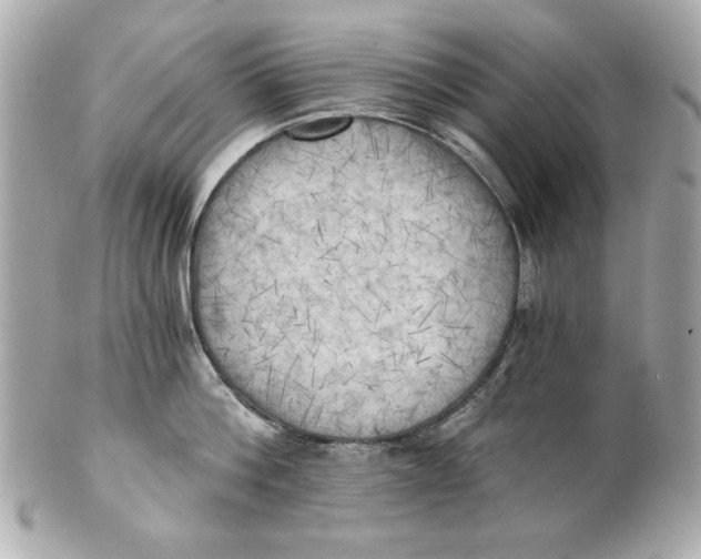 X0000101650812200807311412