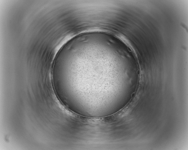 X0000101650813200807311412