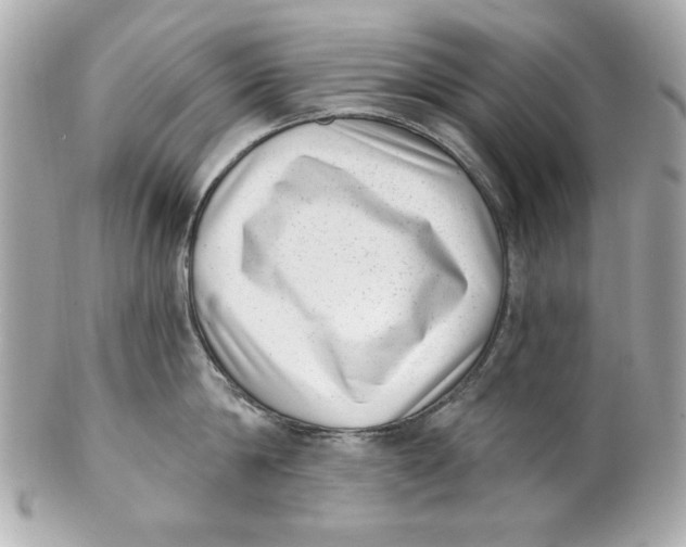 X0000101650814200807311412