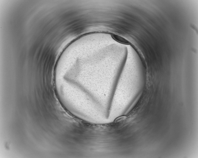 X0000101650815200807311412