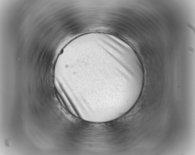 X0000101650816200807311412