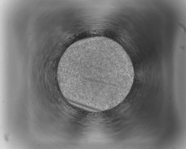 X0000101650817200807311411