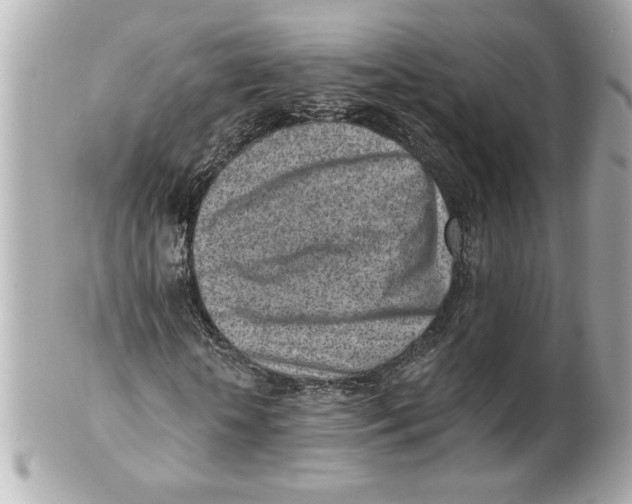 X0000101650818200807311411
