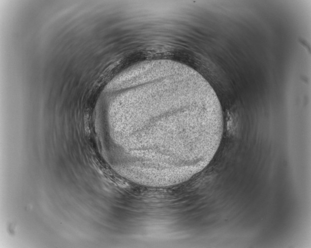 X0000101650819200807311411