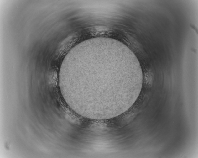 X0000101650820200807311411