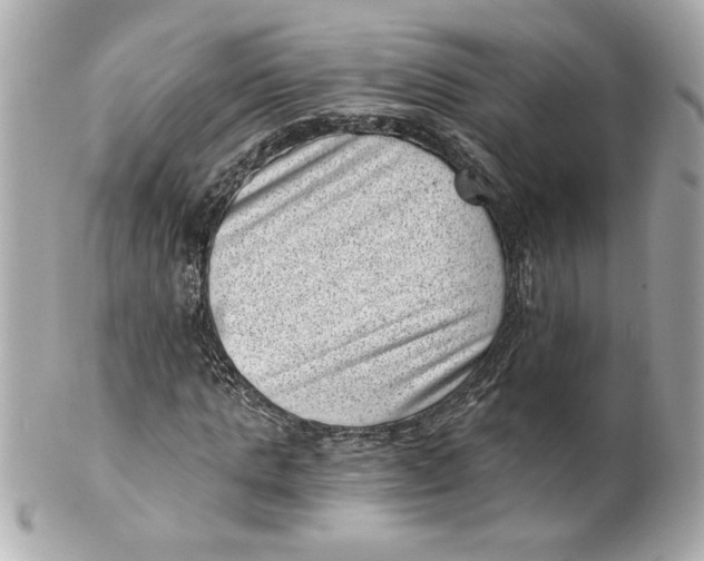 X0000101650821200807311411