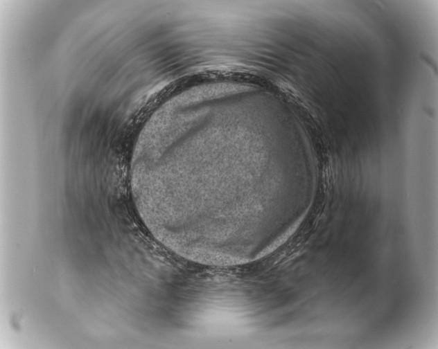 X0000101650822200807311411