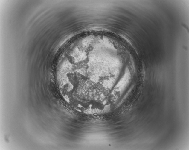 X0000101650823200807311411