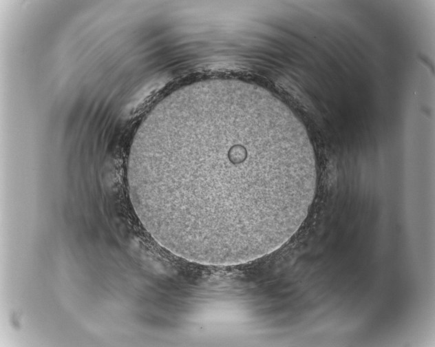 X0000101650824200807311411