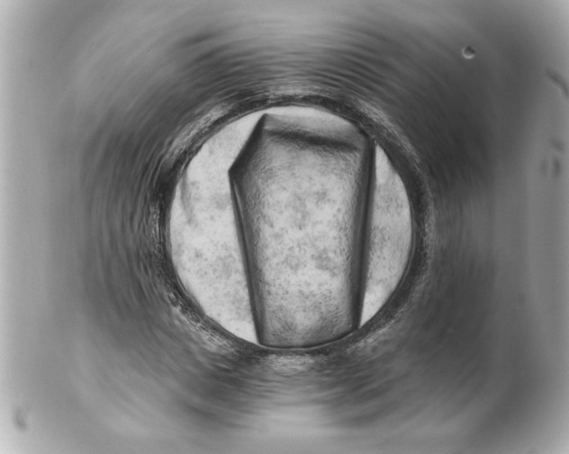 X0000101650825200807311411