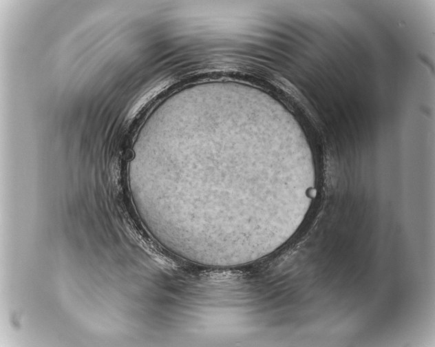 X0000101650826200807311411