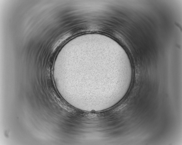 X0000101650827200807311411