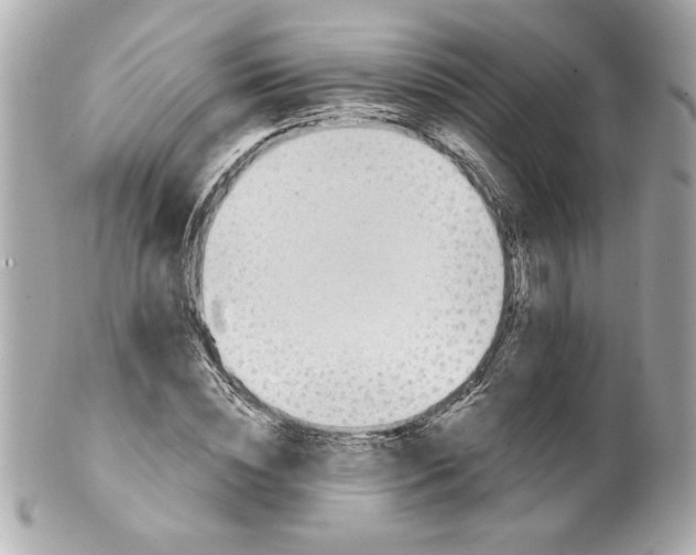 X0000101650828200807311411