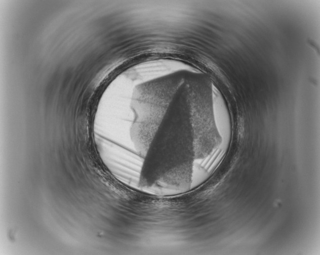 X0000101650829200807311411