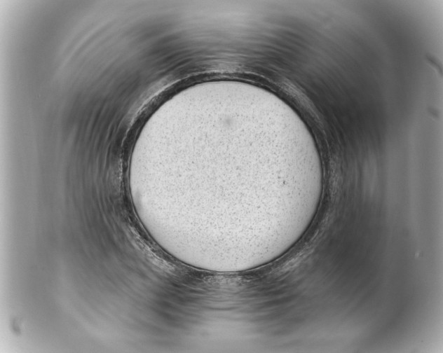 X0000101650831200807311411