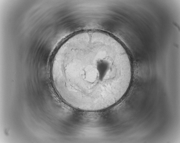 X0000101650832200807311411