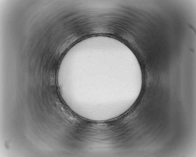 X0000101650833200807311411
