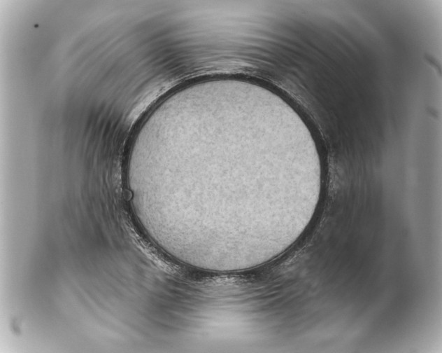 X0000101650834200807311411
