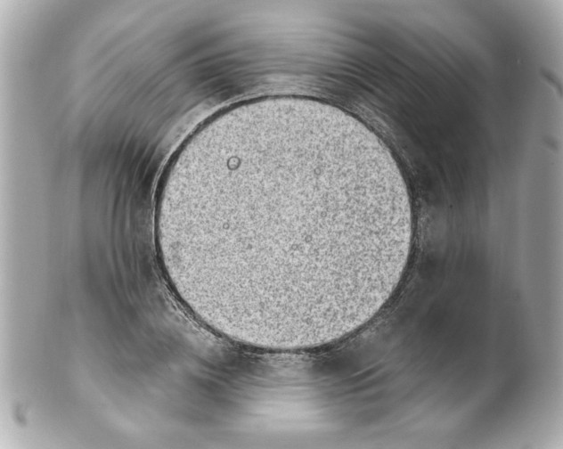 X0000101650836200807311411