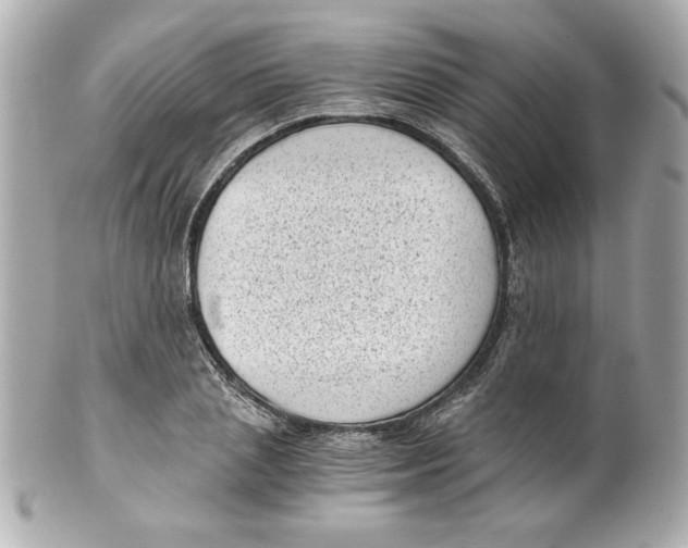 X0000101650837200807311411