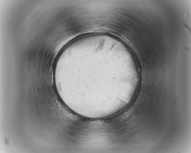 X0000101650838200807311411