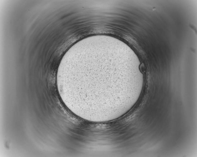 X0000101650841200807311411