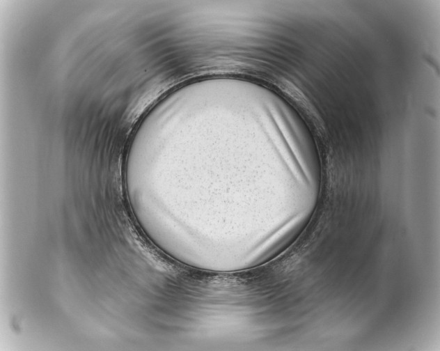 X0000101650842200807311411
