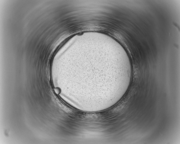 X0000101650843200807311411