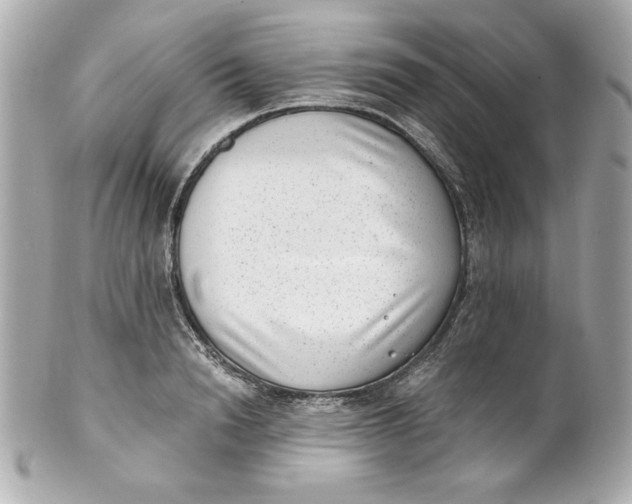 X0000101650846200807311411