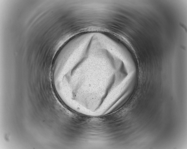 X0000101650847200807311411