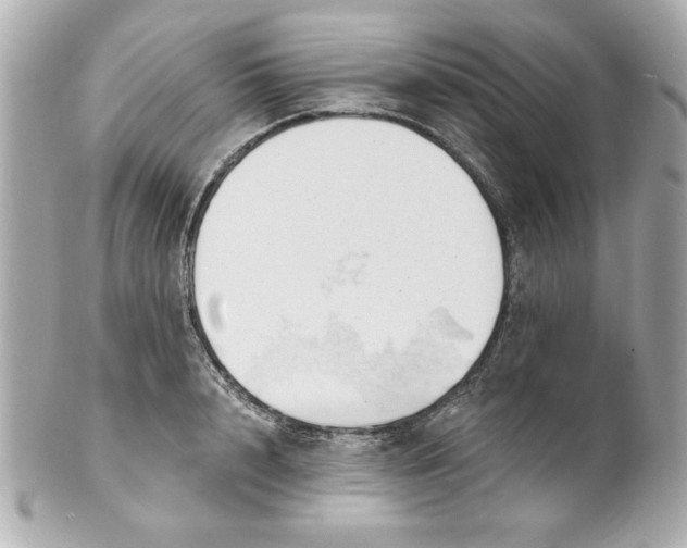 X0000101650848200807311411